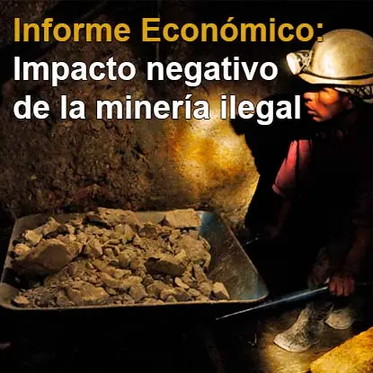 Informe económico del impacto negativo de la mineria ilegal
